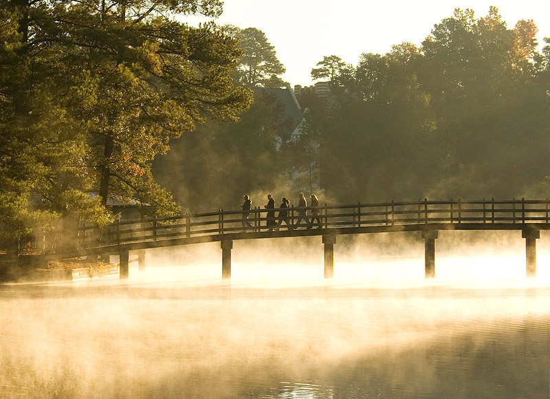 Lake-mist Lake-mist